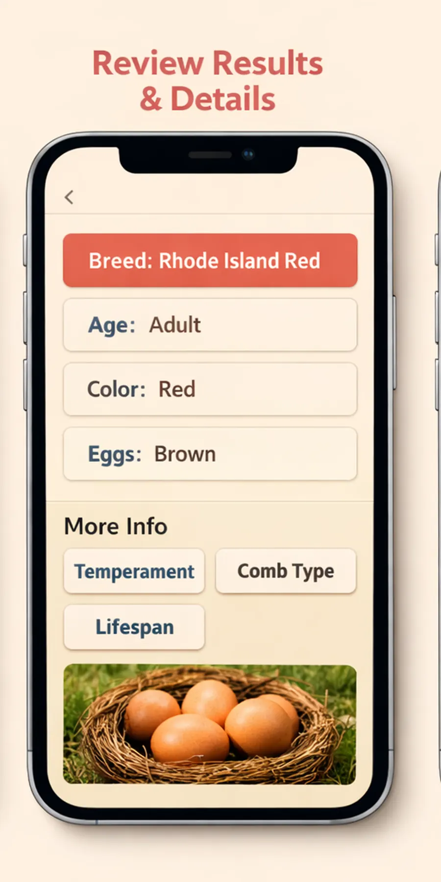 Reviewing chicken breed clues